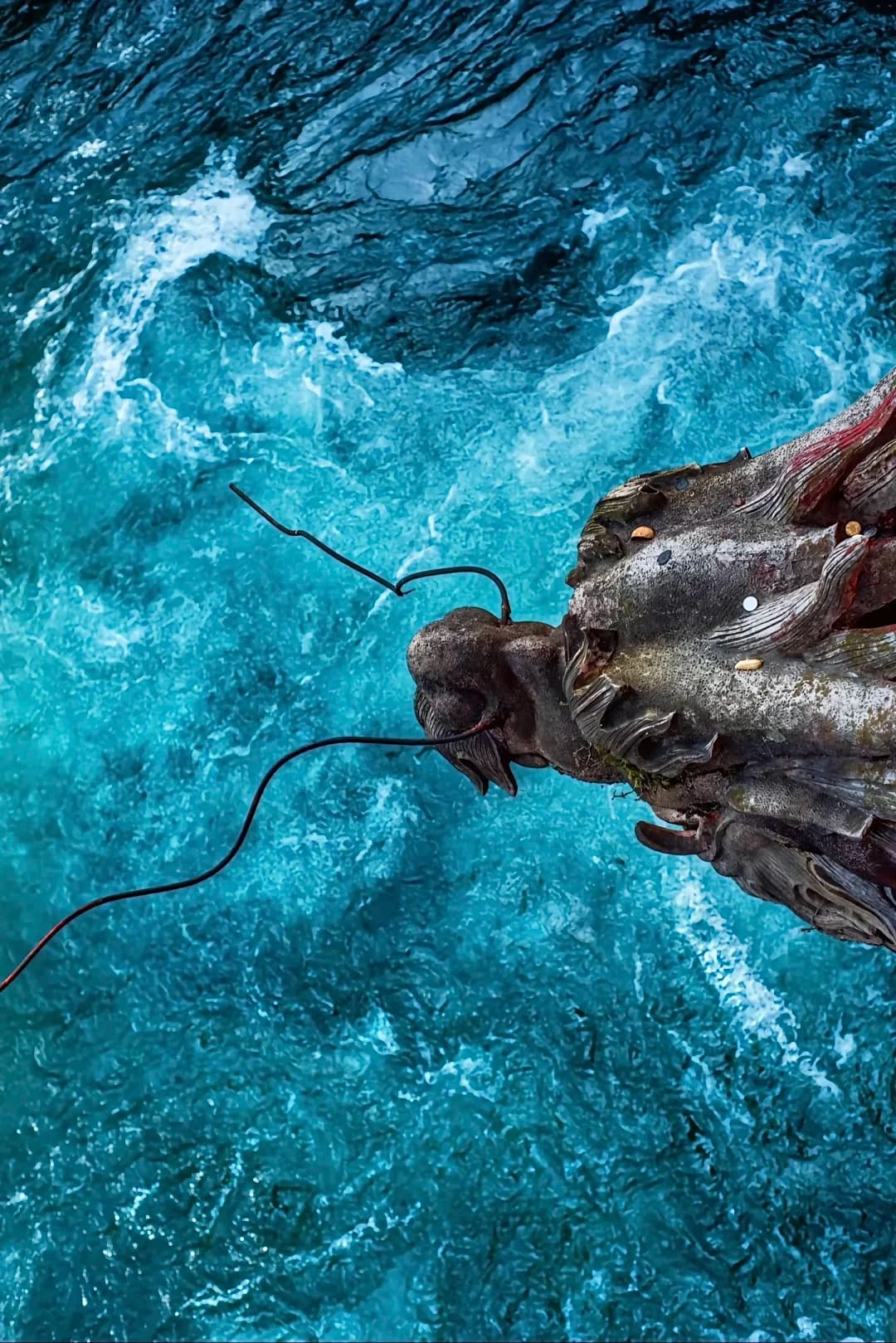 Must-Visit Destinations in Chengdu: A Comprehensive Guide to Qingcheng Mountain and Dujiangyan