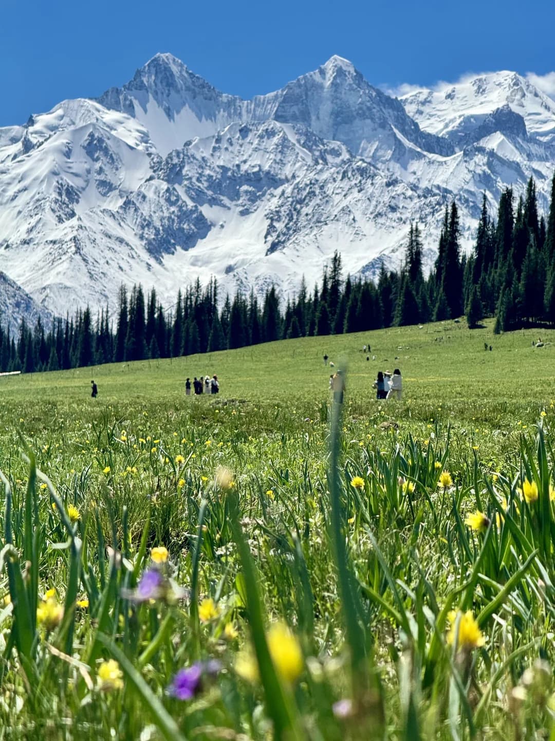 The Unforgettable Beauty of Xia Ta: A Must-Visit in Xinjiang