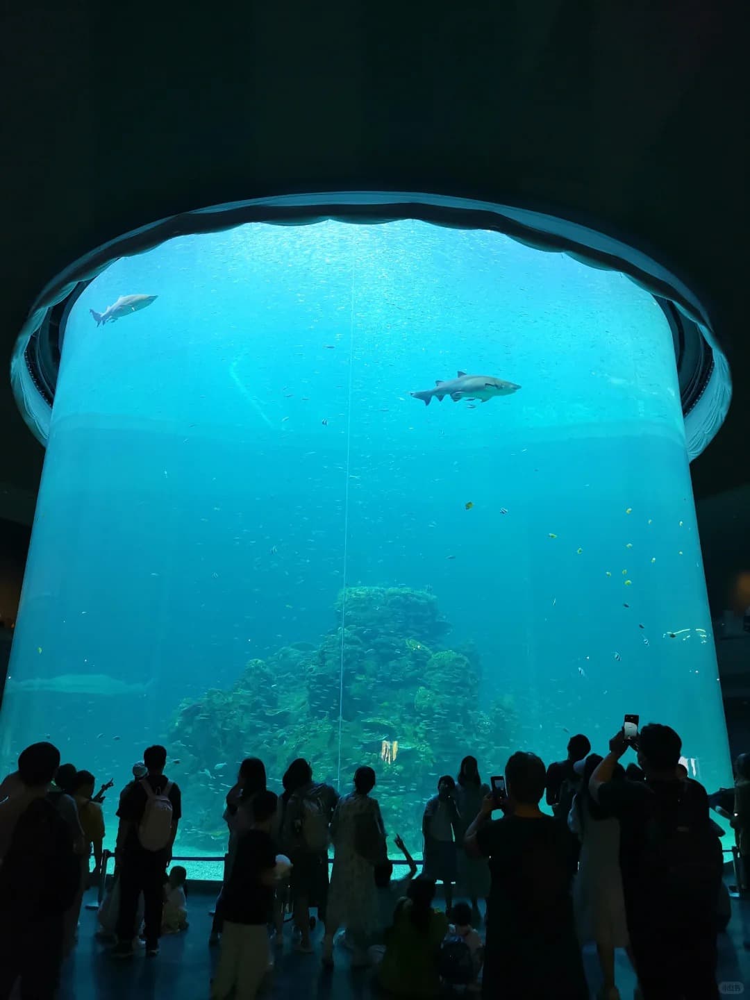 Xiaomeisha Ocean World