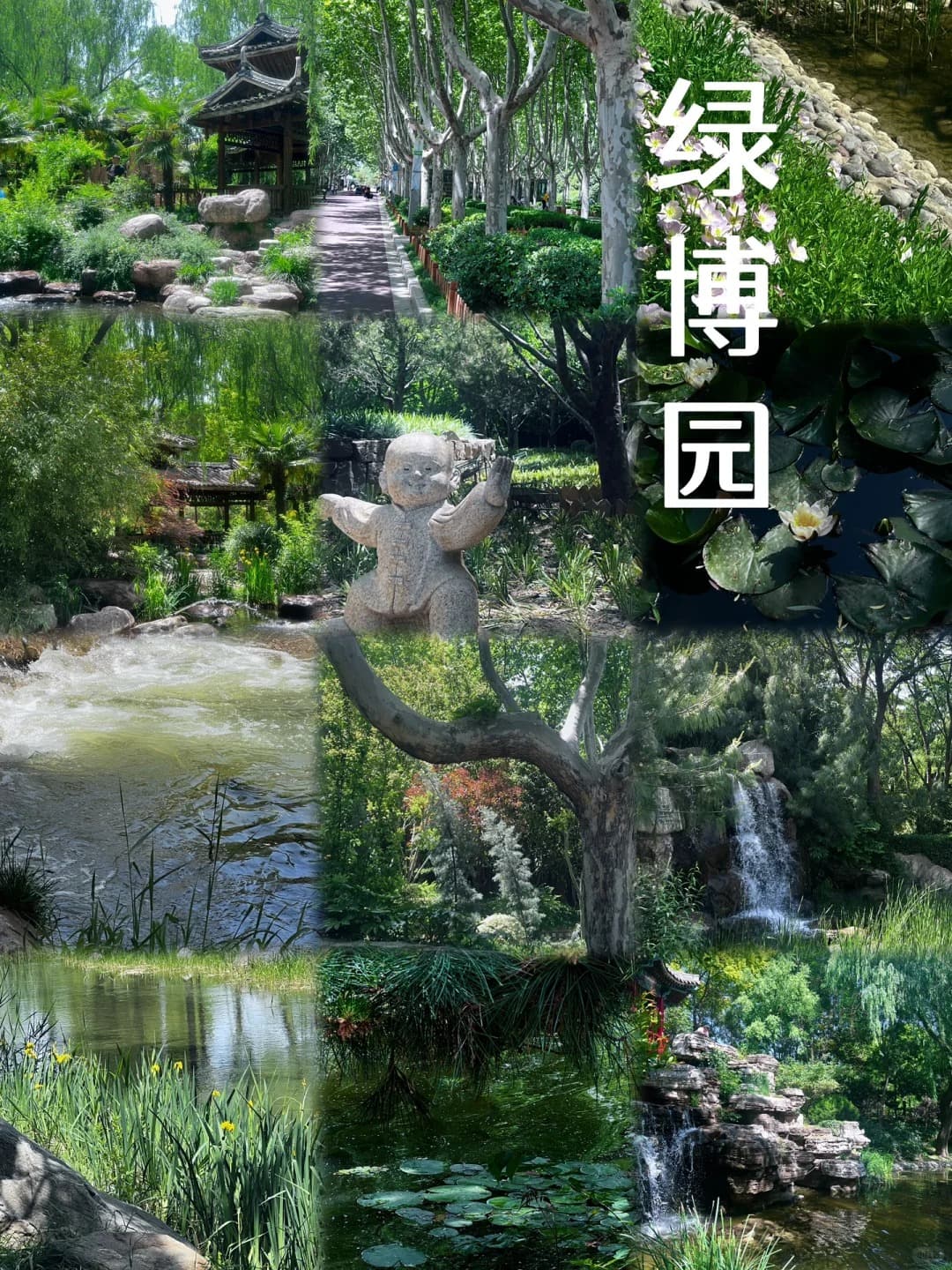 Zhengzhou Green Expo Garden