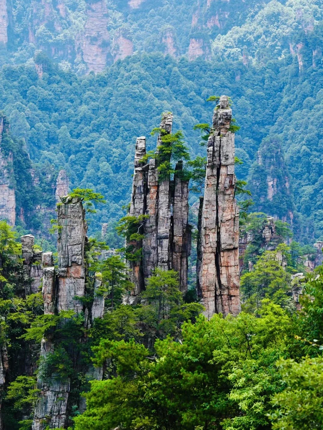 Tianzi Mountain